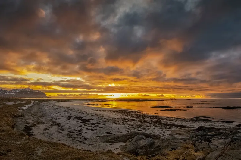 Where the Sun Refuses to Sleep: A Woman's Guide to Norway's Arctic Summer